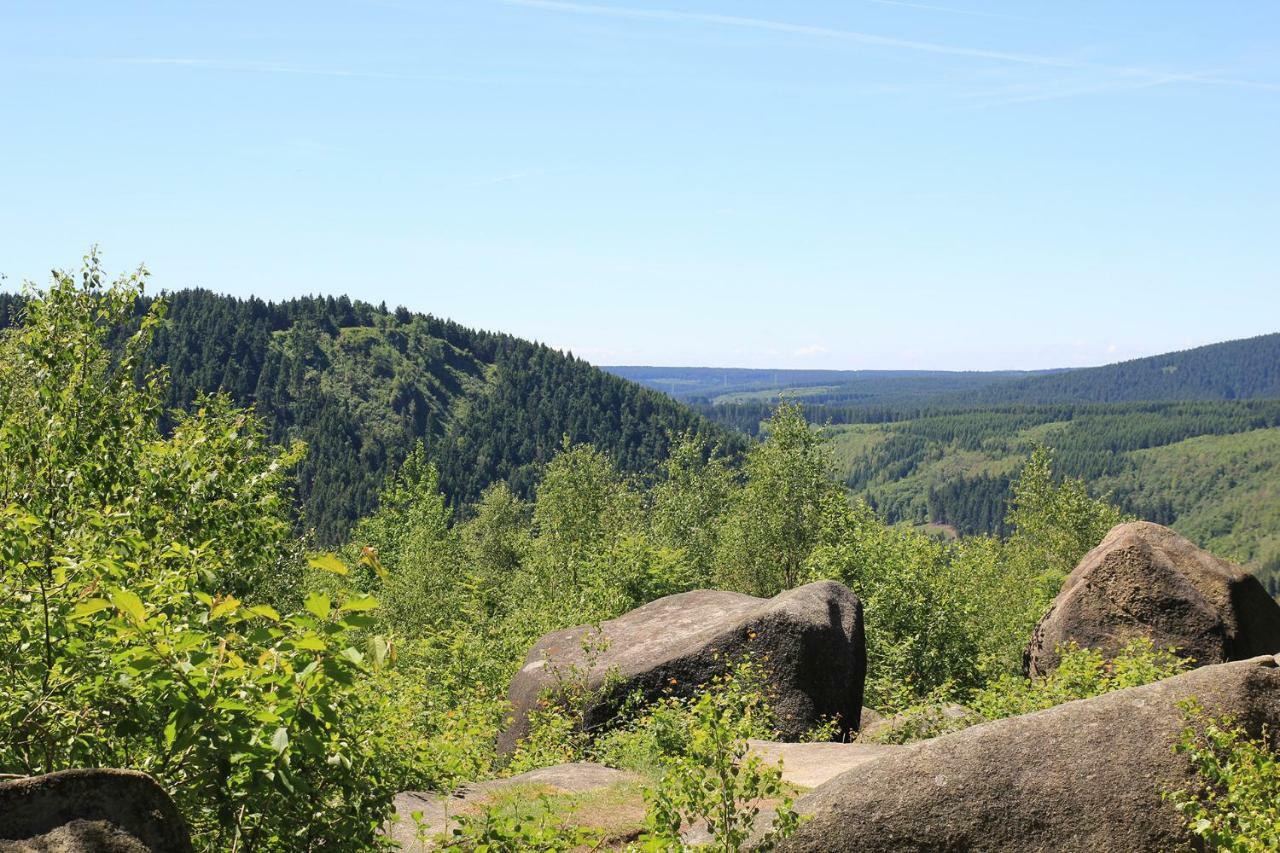 Apartamento An Der Bremke Herzberg am Harz Exterior foto